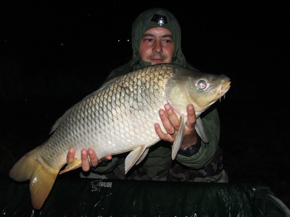 Lates iunie 2013 - 9465205931968274141891992394364n.jpg